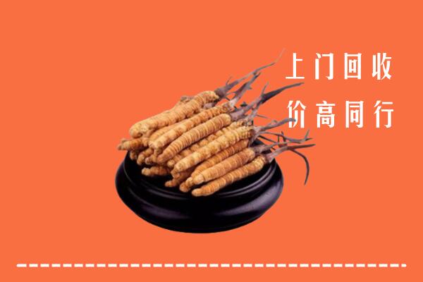 收购行情：蓬溪县冬虫夏草回收多少钱每克