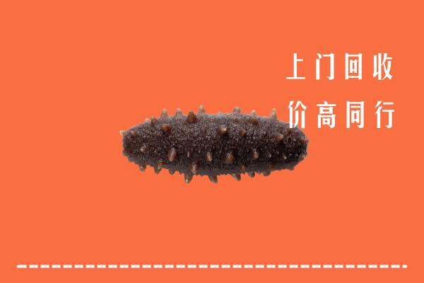 蓬溪县回收海参